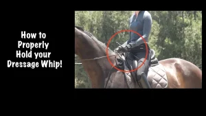 how to hold your dressage whip