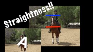 A rider on a chestnut horse is shown in an outdoor arena. Lines highlight rider symmetry and alignment, with the word “Straightness!!” in bold across the image. Trees are visible in the background.