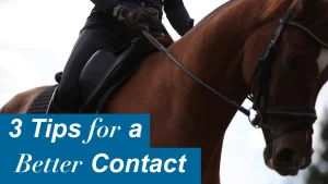 A person riding a brown horse, holding the reins, with the text 3 Tips to Improve Your Hands for Better Contact overlaid on a blue box in the lower left corner.