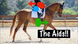 A rider on a chestnut horse in a dressage arena. Colored arrows and circles highlight leg, hand, and seat positions, illustrating equestrian aids for effective horse communication. Text reads The Aids!! at the bottom right.