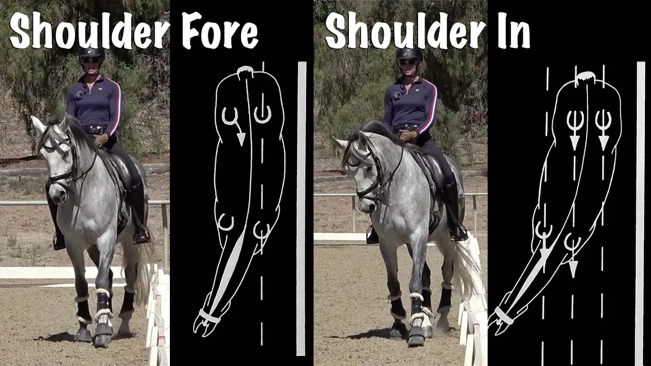 A rider on a gray horse demonstrates two dressage movements: Shoulder-Fore on the left and Shoulder-In on the right, each with diagrams highlighting the dressage angles of the horse’s body.