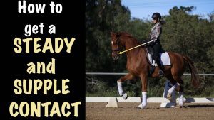 A person in riding gear is riding a brown horse with white wraps on its legs in a dressage arena, showcasing essential horse training for achieving steady contact. Text on the left reads, How to get a STEADY and SUPPLE CONTACT.