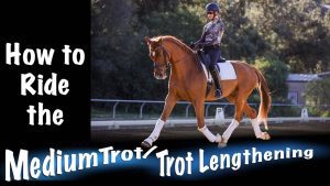 A rider in a helmet and riding attire guides a chestnut horse with white leg wraps in an outdoor arena. Text reads: How to Ride the Medium Trot / Mastering lengthening trot techniques.