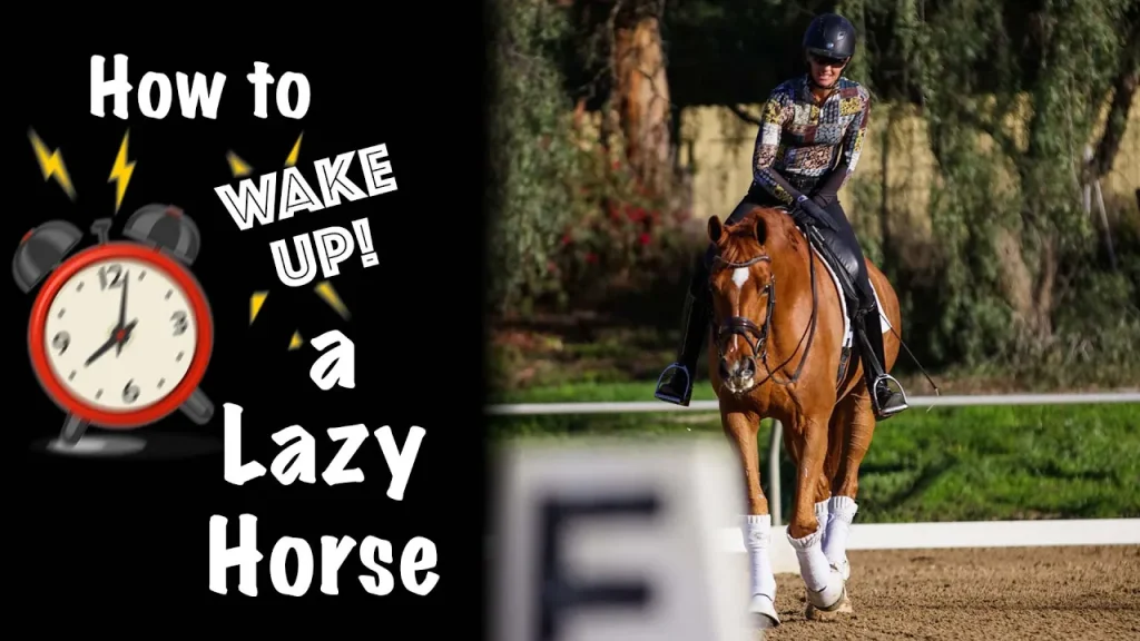 A rider on a brown horse in an outdoor arena, with text on the left reading How to Wake Up a Lazy Horse next to an illustrated alarm clock.