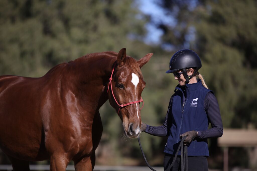 A person wearing a riding helmet, sunglasses, gloves, and a navy vest stands next to a chestnut horse with a red halter outdoors, gently holding its lead rope as if preparing for one of their masterclasses. Trees are blurred in the background.