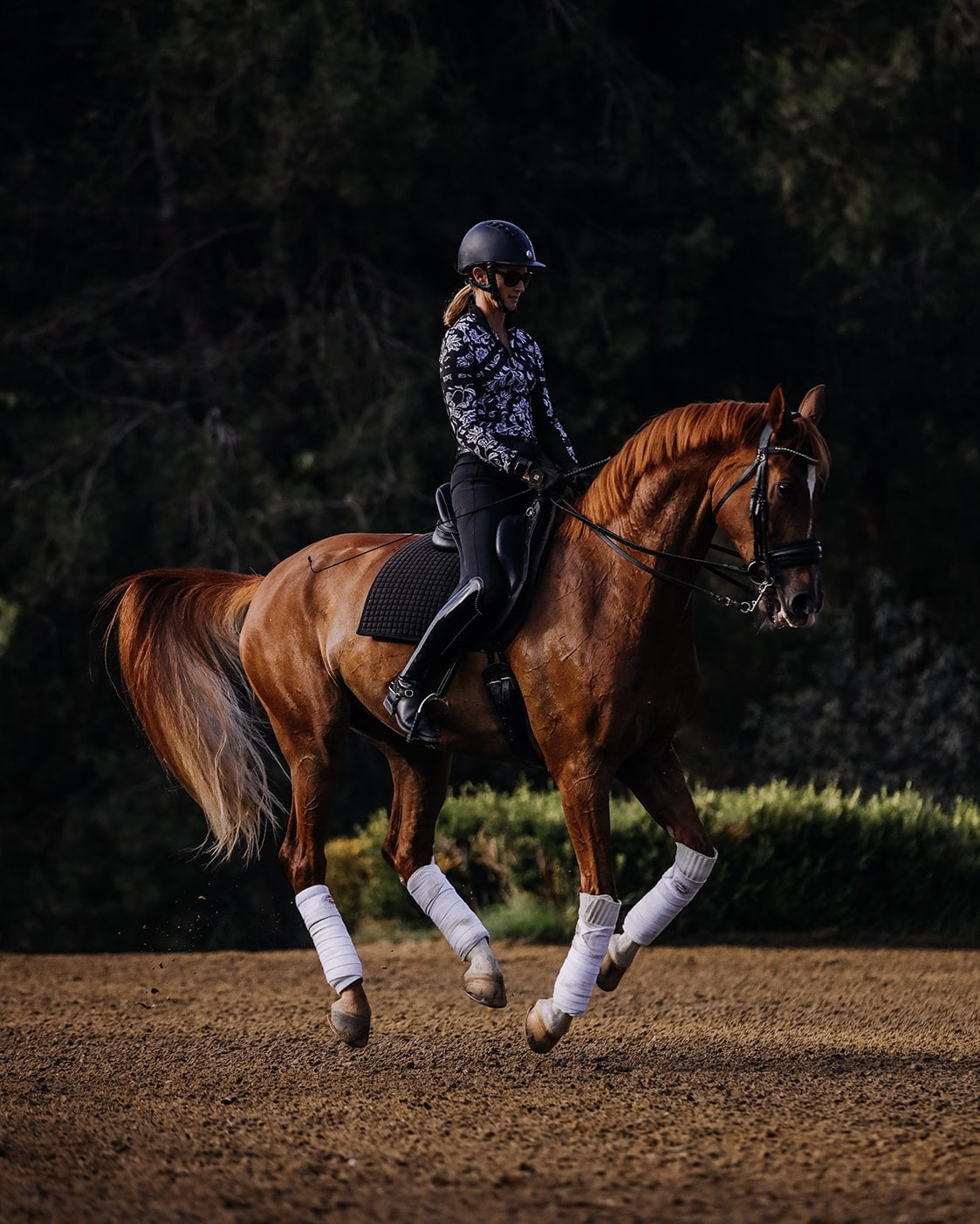 A person wearing a helmet and patterned shirt rides a chestnut horse with white leg wraps, performing dressage on a sandy arena with trees in the background—perfect inspiration for your Free Cantering PDF.