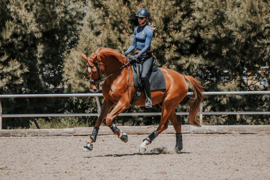 A person wearing a helmet and blue long-sleeve shirt is engaged in dressage training, riding a chestnut horse in an outdoor sandy arena surrounded by trees and enclosed by a wooden fence.