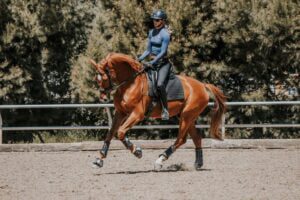 A person wearing a helmet and blue long-sleeve shirt is engaged in dressage training, riding a chestnut horse in an outdoor sandy arena surrounded by trees and enclosed by a wooden fence.