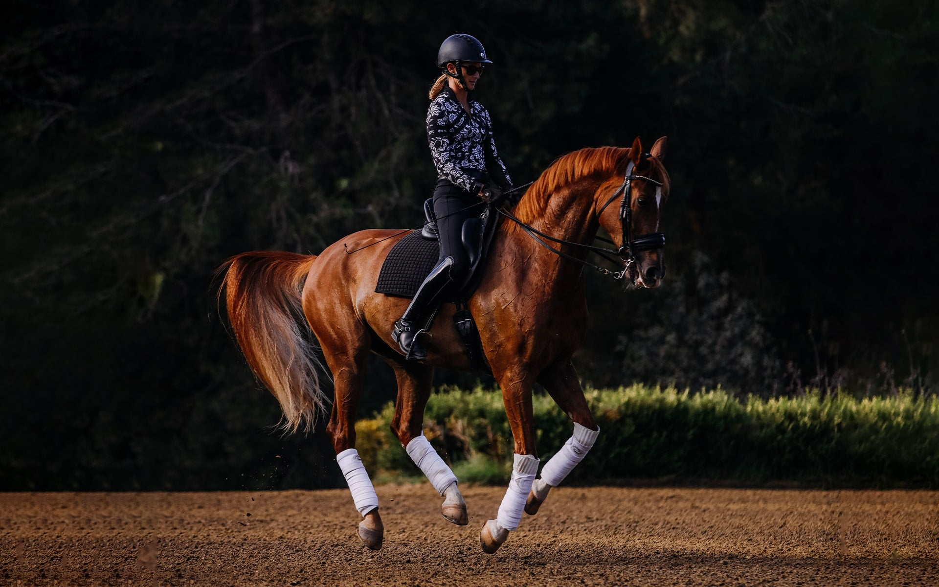 A person wearing a helmet and patterned jacket rides a chestnut horse performing dressage mid-leap on a sandy arena, showcasing the skill often seen in masterclasses. Trees and grass can be seen in the background.
