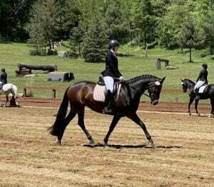 A rider in formal equestrian attire, inspired by Amelia Newcomb’s Train your Eye NEW Program, guides a dark brown horse in a dressage arena outdoors, with other riders and horses in the background and trees lining the area.