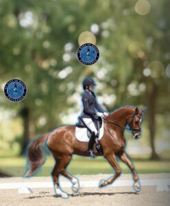 A rider in formal attire guides a chestnut horse along a dressage arena, preparing for the 30 Days to Round challenge. The background is blurred greenery, and two Roads to Region Finals 2023 logos are visible above the rider and horse.