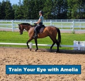 A person wearing a helmet rides a brown horse in a sandy arena bordered by white fencing, with green grass and trees in the background. Text reads, Train Your Eye with Amelia.