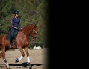 A person in a helmet and riding gear demonstrates the Free Rider Position while riding a brown horse with white leg wraps in an outdoor arena. Trees are visible in the background, and the right side of the image is blacked out.