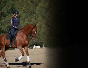 A person in riding gear and helmet demonstrates a Free Rider Position while riding a brown horse with white leg wraps in an outdoor arena, with trees behind and a dark shadow covering part of the image.