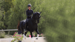 A person in black riding gear and helmet demonstrates excellent rider position while riding a black horse with white leg wraps, outdoors on a sunny day, surrounded by greenery and blooming pink flowers.