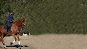 A person wearing a helmet and riding gear demonstrates the Free Rider Position while riding a brown horse in an outdoor sandy arena, with green trees in the background.