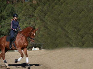 A person demonstrating the Free Rider Position, wearing a helmet and riding gear, is riding a chestnut horse with white leg wraps on a sandy outdoor arena, with green trees in the background.