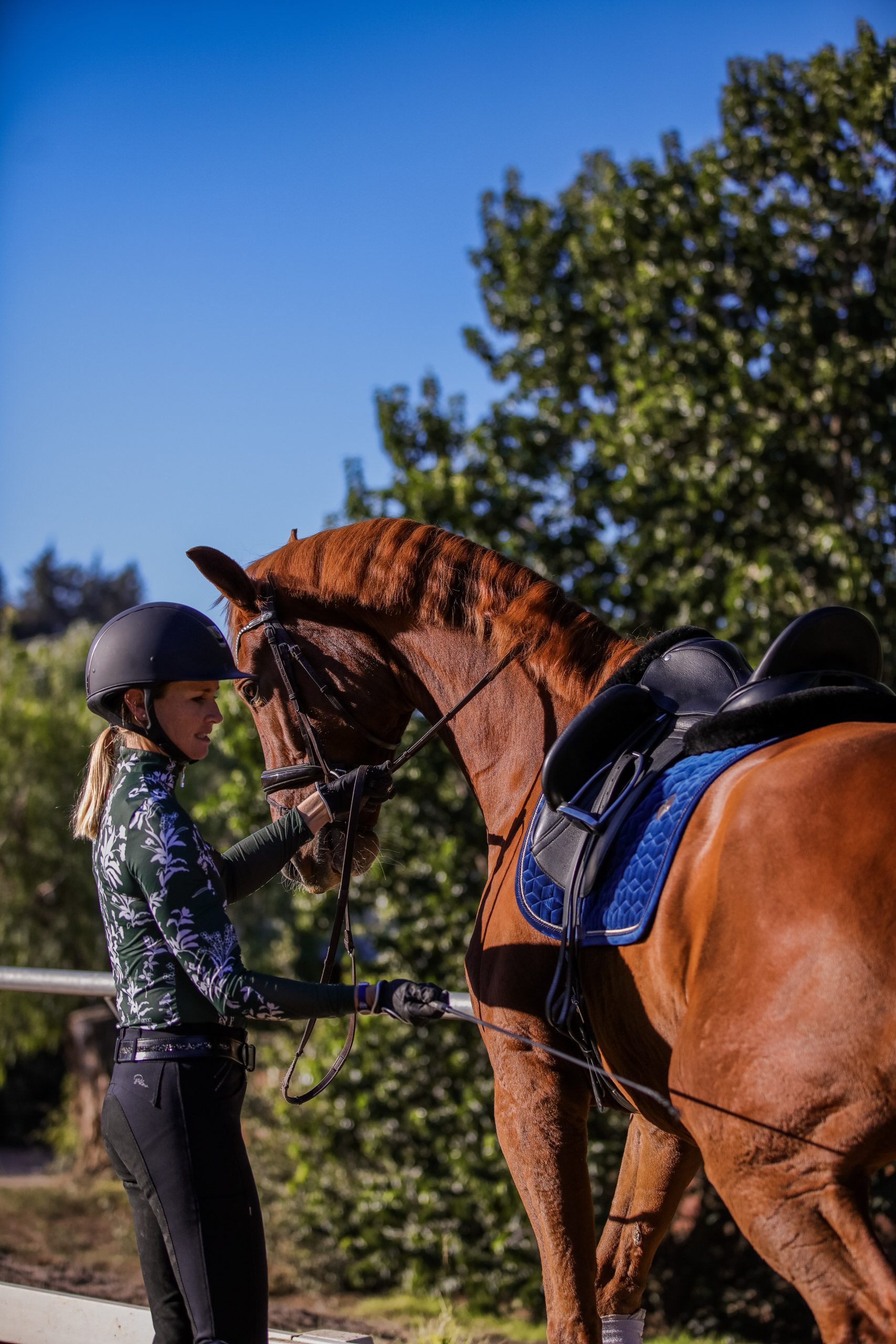 A woman in riding gear stands beside a brown horse with a blue saddle, gently holding its bridle—a perfect scene for any Groundwork Masterclass. They are outdoors on a sunny day with green trees in the background.