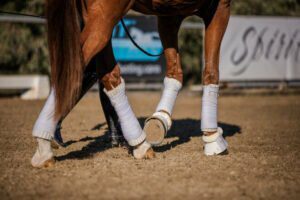 Close-up of a horse’s legs wrapped in white bandages and protective boots, walking on a sandy arena—perfect for groundwork or horse training. A person’s leg in black boots is visible behind the horse, with blurred signs in the background.