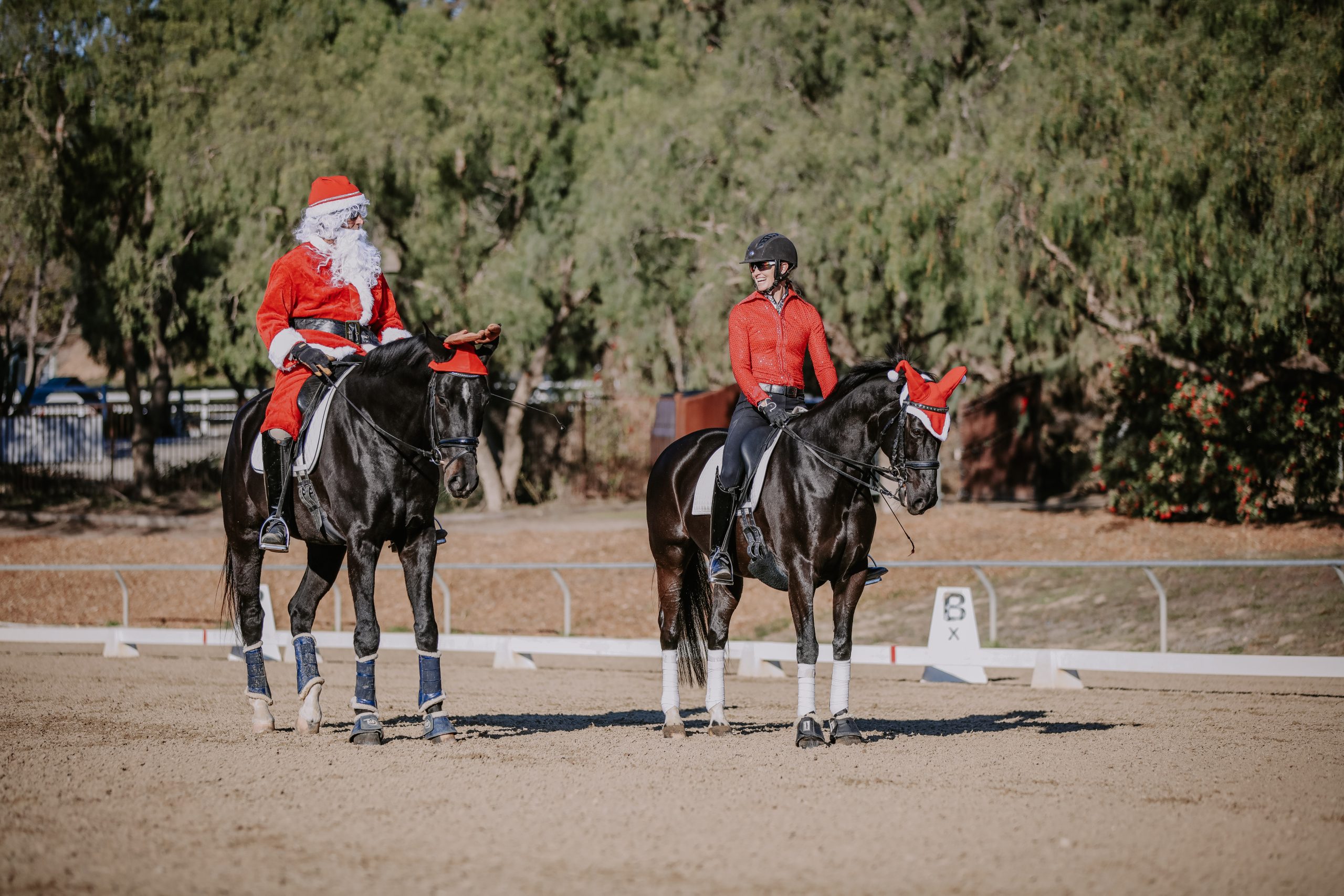 Two people riding black horses in an outdoor arena, both horses wear red and white hats. One rider is dressed as Santa Claus, the other in a red shirt and helmet—wishing Your Family Happy Holidays amidst trees and a dressage marker.