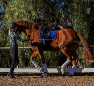 A person wearing a helmet and equestrian gear is giving a groundwork masterclass, lunging a chestnut horse with white leg wraps and a blue saddle pad in an outdoor arena, surrounded by trees.