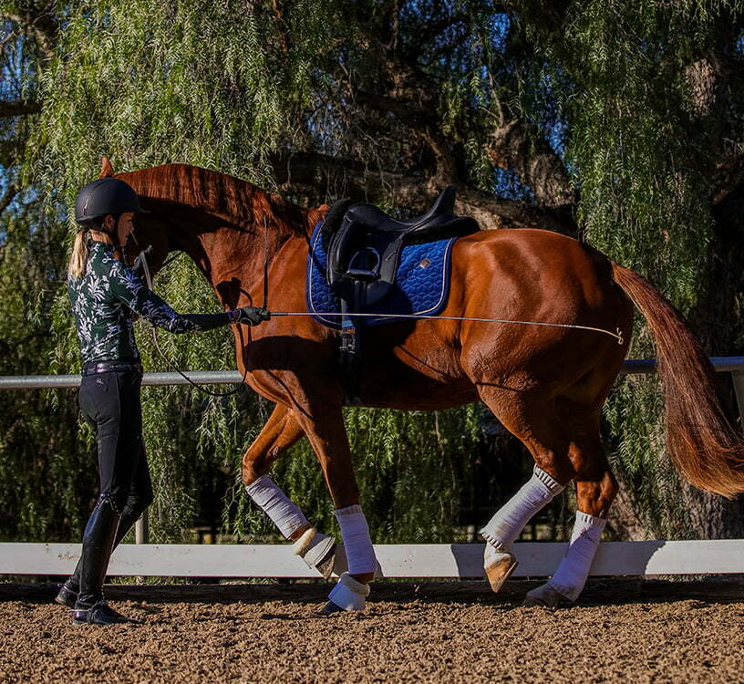 A person wearing a helmet and equestrian gear is giving a groundwork masterclass, lunging a chestnut horse with white leg wraps and a blue saddle pad in an outdoor arena, surrounded by trees.