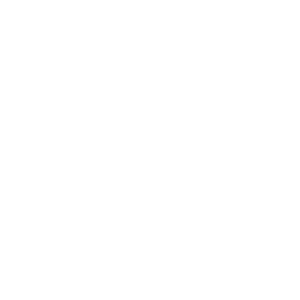 White logo featuring the silhouette of a trotting horse within a circle, above the cursive word Strides and the block text WITH AMELIA beneath it.
