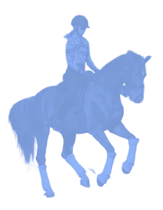 A person wearing a helmet rides a horse, both equipped with protective gear on their legs and hooves, performing what appears to be a flyer changes dressage movement.