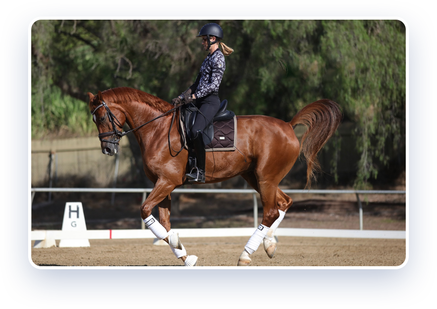 A person in a helmet and riding gear is riding a chestnut horse with white leg wraps in an outdoor arena. Trees and an arena marker labeled H are visible in the background.