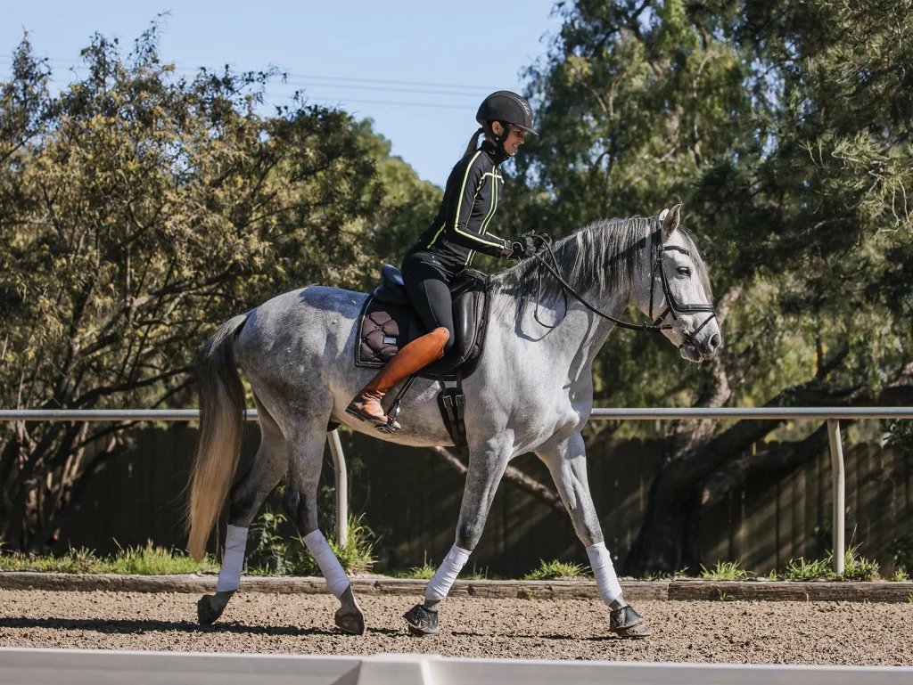 A person wearing a helmet and riding gear rides a gray horse with white leg wraps along a fenced outdoor arena, their rider position reflecting top form as sunlight filters through the trees—perfect for 2023 Rider Rankings.