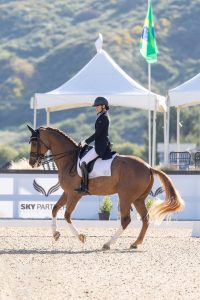 A rider in formal equestrian attire guides a chestnut horse in a dressage arena, with white tents and a green and yellow flag in the background, capturing the precision of a Training Scale Masterclass at an outdoor competition event.