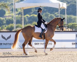 A rider in formal equestrian attire participates in a dressage event, guiding a chestnut horse with white stockings and a braided mane through the competition courses. The background features a tent, fencing, and SKY PARTNERS signage.