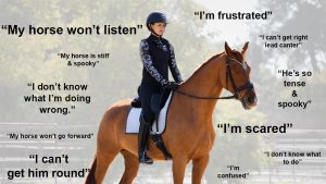 A rider in equestrian gear sits on a chestnut horse in an arena. Surrounding them are phrases in large text expressing frustration and confusion about horse riding—highlighting challenges addressed in the Training Scale Masterclass.