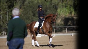A rider in black equestrian attire and helmet guides a chestnut horse with white leg wraps in a sandy outdoor arena during equestrian training, while a person in a green sweater observes. Trees are visible in the background.