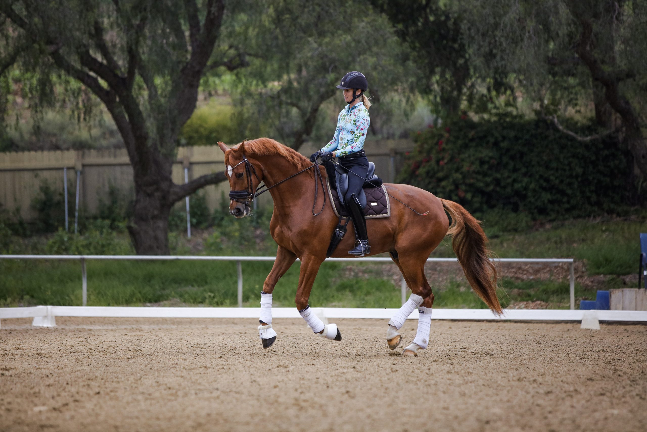 A rider wearing a helmet and colorful shirt is practicing the fundamentals of dressage on a chestnut horse with white leg wraps in an outdoor arena surrounded by trees and a fence.