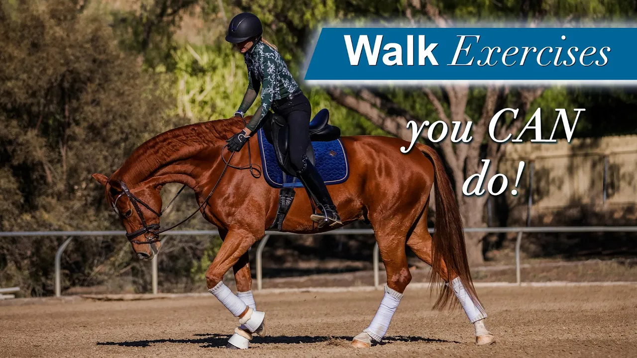 A person in a helmet rides a brown horse with white leg wraps and a blue saddle pad in an outdoor arena. Text on the right reads, Walk Exercises and Walk Workouts you CAN do!.