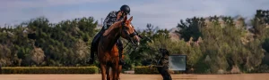 Amelia Newcomb, wearing a helmet, rides a brown horse and reaches down to greet a standing dog in an outdoor setting with trees in the background.