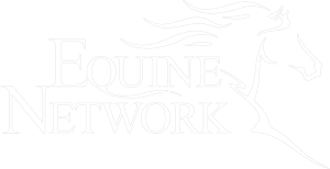 White stylized outline of a horse’s head with flowing mane next to the words Equine Network in large, elegant capital letters. The simple, clean design evokes both sophistication and the precision of dressage training on a white background.