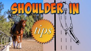 A rider on a chestnut horse performs dressage in an outdoor arena. Large text reads SHOULDER IN tips, perfect for horse training. On the right, a diagram shows a horse’s shoulder-in movement along parallel lines. Trees can be seen in the background.
