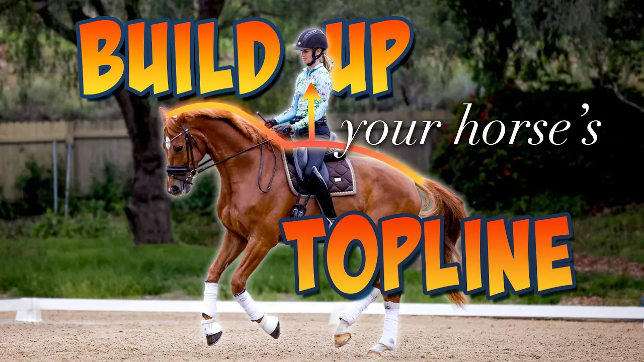 A rider on a chestnut horse in an outdoor arena, with bold text reading BUILD UP your horse topline and an arrow pointing to the horse’s neck and back. Trees and a fence are visible in the background.