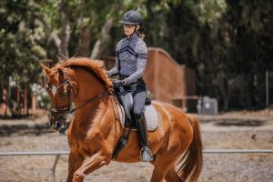 A person in a helmet and riding gear practices dressage training on a chestnut horse in an outdoor area, with trees and a fence in the background.