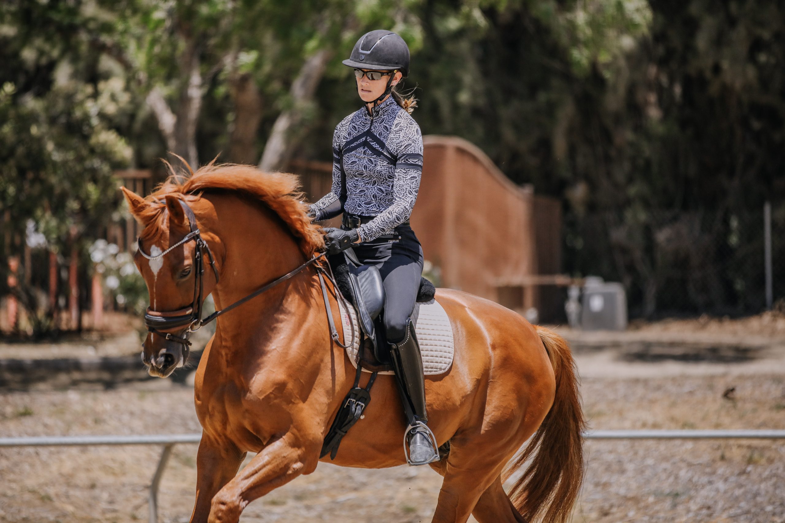 A person in a helmet and riding gear practices dressage training on a chestnut horse in an outdoor area, with trees and a fence in the background.