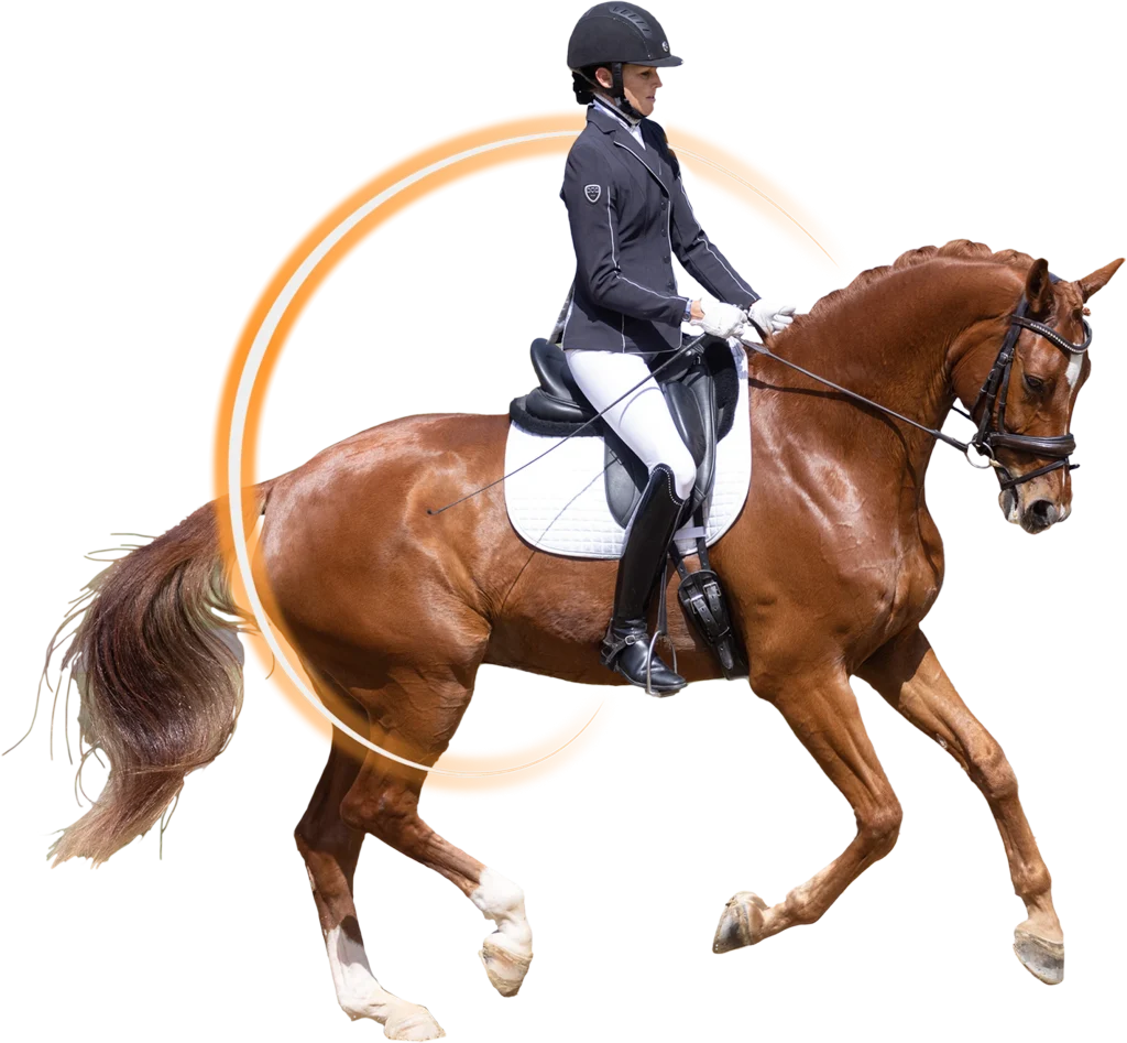 Dressage canter training to improve balance and straightness