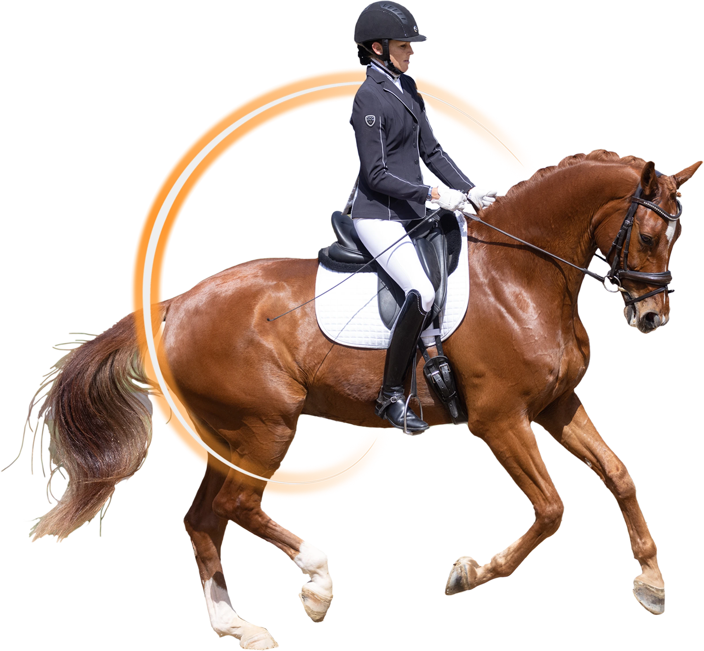 Dressage canter training to improve balance and straightness