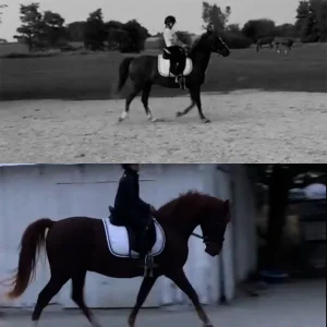 Two images: The top shows a rider on a dark horse in an outdoor arena, the bottom features a brown horse in a walled area. Both riders wear helmets and boots—perfect inspiration for your 30 Days to Round or your next 2023 fitness challenge!.