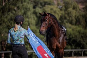 A woman in a riding helmet and floral shirt holds a blue flag in front of a dark brown horse on a bridle, demonstrating Groundwork Essentials outdoors with green trees in the background.