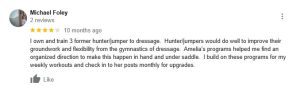 A Google review by Michael Foley, rated four stars, praises his positive experience transitioning hunter/jumper horses to dressage and highlights how Amelia's Groundwork Essentials program improved flexibility and overall workout routines.