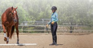 A person wearing a helmet, gloves, and colorful shirt stands in a sandy arena holding the reins of a chestnut horse, demonstrating groundwork essentials as the horse walks beside them. Trees and fencing are visible in the background.