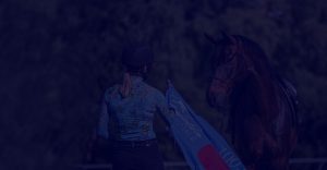 A person in a helmet and floral shirt stands beside a dark brown horse, holding a blue flag with a red circle and yellow lettering—showcasing Groundwork Essentials outdoors amid the trees.