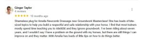 A Google review by Ginger Taylor praises Amelia Newcomb Dressage’s Groundwork Masterclass, highlighting valuable tips for building a safe relationship with horses and emphasizing the importance of Groundwork Essentials covered in the course.